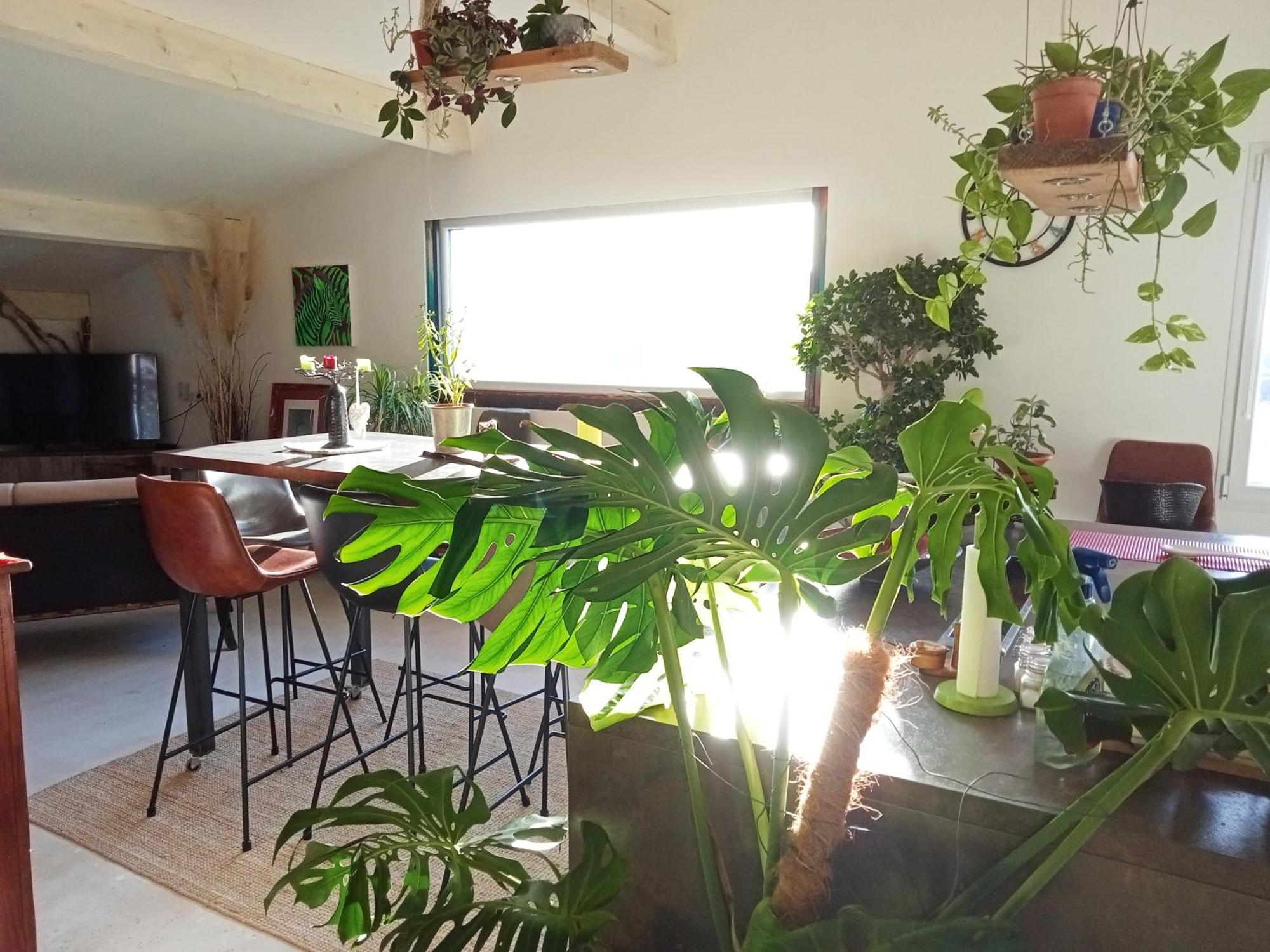 Logement De Charme Avec Piscine Et Jacuzzi Carnoules  Kültér fotó